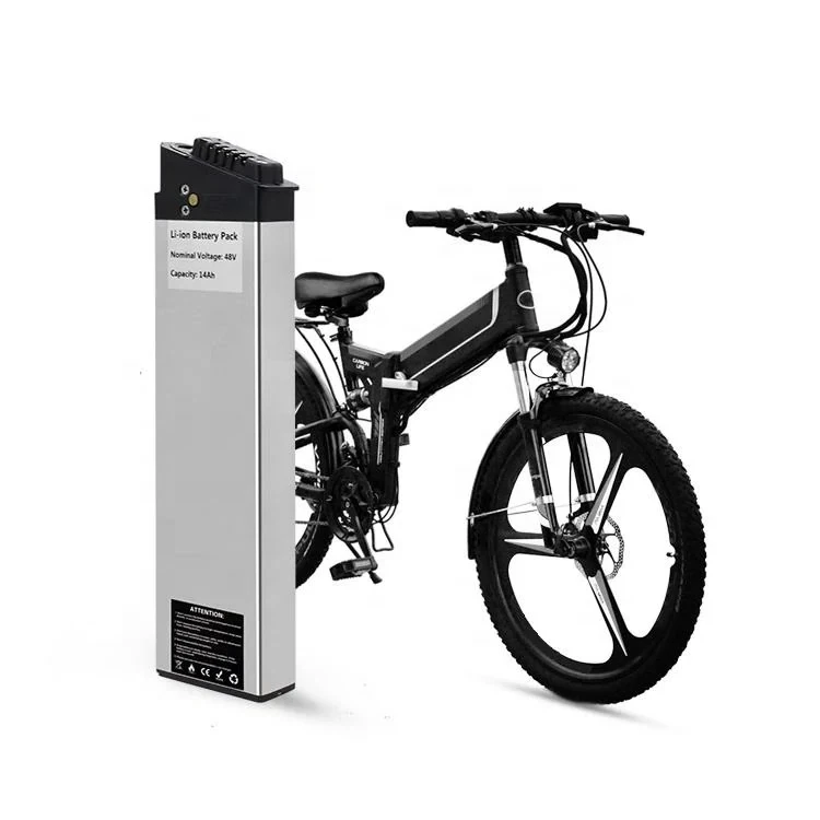 48V 1000W baterija ebike