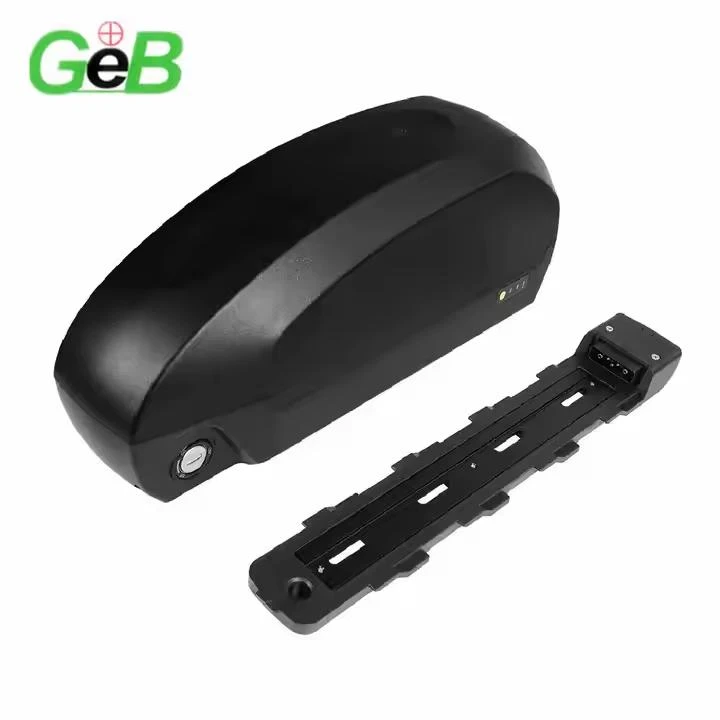 Custom 48v 60ah ebike battery 